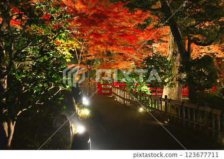 椿山莊的夜景：雲海 123677711