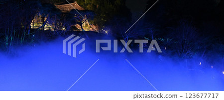 Night view of Chinzanso: Sea of clouds 123677717