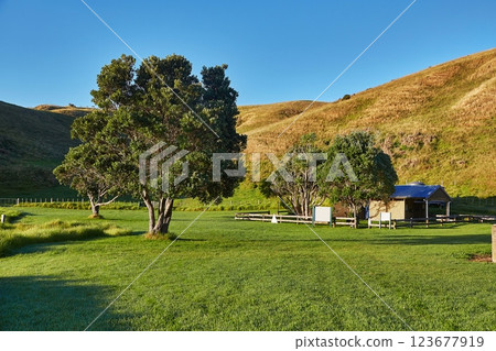 Beautiful beach and campsite in New Zealand Beautiful beach and campsite in New Zealand 123677919