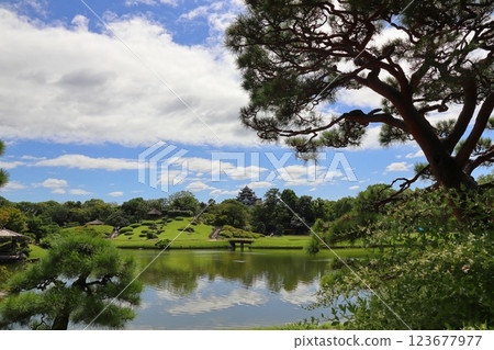 Pond and trees in a Japanese garden 123677977