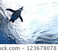 Penguins swimming in the sky 123678078