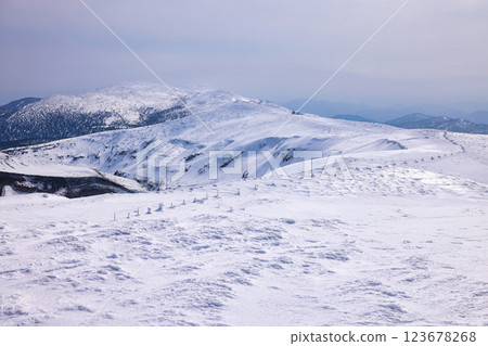 藏王山的雪山脊 123678268
