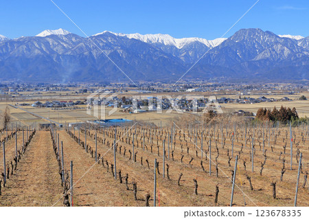 Early Spring Wine Vineyards: Japan Alps Wine Valley Early Spring Wine Vineyards: Japan Alps Wine Valley 123678335