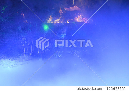 Night view of Chinzanso: Sea of clouds Night view of Chinzanso: Sea of clouds 123678531