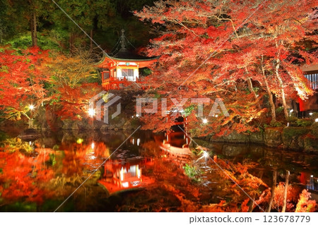 [京都府]大五寺彩葉照亮（夜間參觀） 123678779