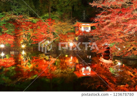 [京都府]大五寺彩葉照亮（夜間參觀） 123678780