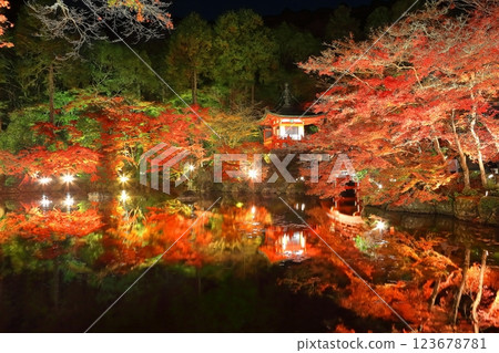 [京都府]大五寺彩葉照亮（夜間參觀） 123678781