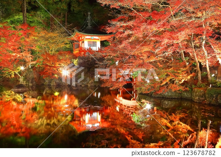 [京都府]大五寺彩葉照亮（夜間參觀） 123678782