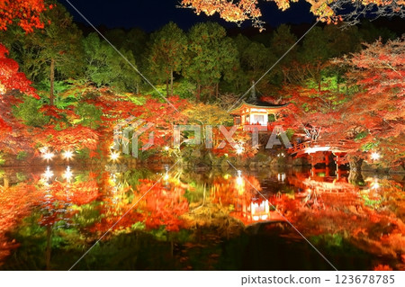 [京都府]大五寺彩葉照亮（夜間參觀） 123678785