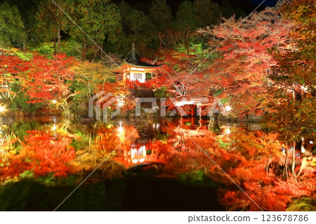 [Kyoto Prefecture] Daigoji colored leaves lit up (night visit) 123678786
