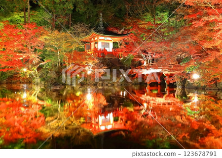 [京都府]大五寺彩葉照亮（夜間參觀） 123678791