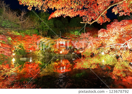 [Kyoto Prefecture] Daigoji colored leaves lit up (night visit) 123678792