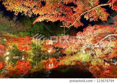 [京都府]大五寺彩葉照亮（夜間參觀） 123678794