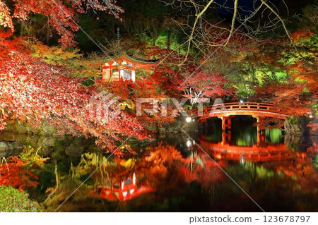 [京都府]大五寺彩葉照亮（夜間參觀） 123678797