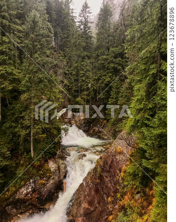 small waterfall in foggy forest in Zakopane in rainy weather small waterfall in foggy forest in Zakopane in rainy weather 123678896