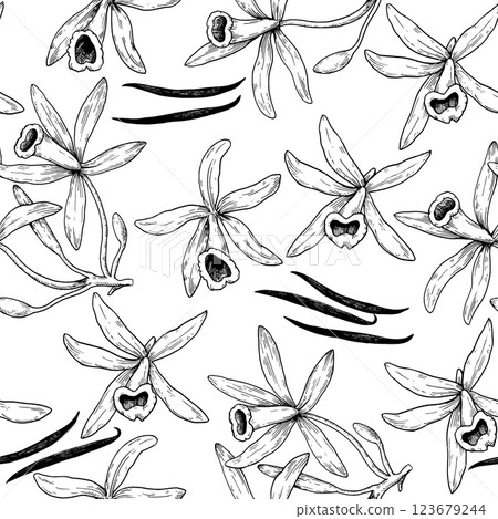 Seamless pattern with vanilla orchid flowers and sticks in engraving vintage style. Hand-drawn illustration. 123679244