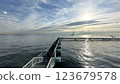 Honmoku Sea Fishing Facility 123679578