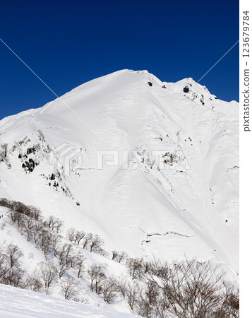 谷川岳和白雪皚皚的登山美景（從天神山脊眺望） 123679784