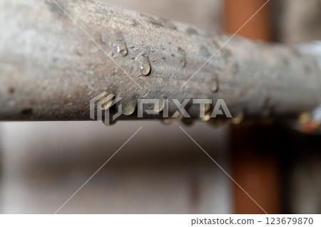 Close-up of water droplets on metal pipe surface indicating moisture and condensation 123679870