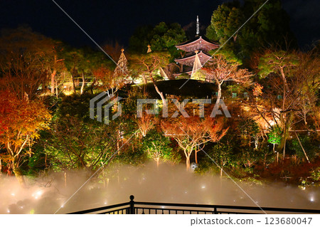 椿山莊的夜景：雲海 123680047