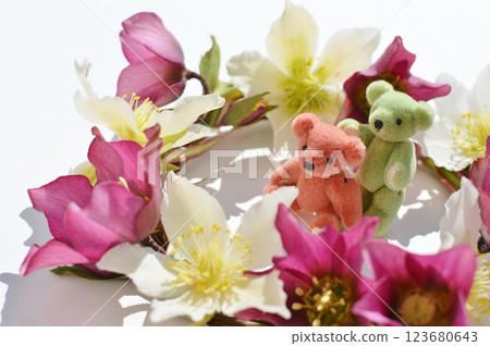 Christmas rose flower wreath and teddy bear Christmas rose flower wreath and teddy bear 123680643