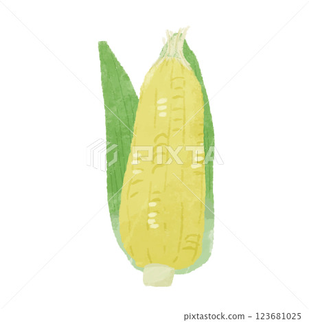 玉米的簡單手繪彩色插圖 123681025