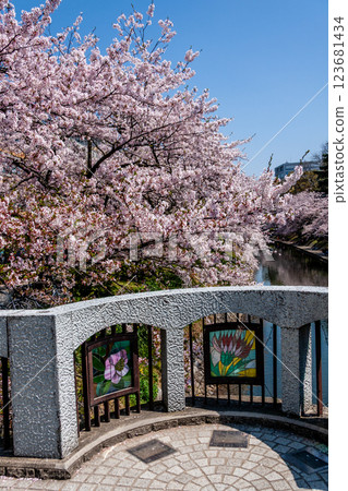 (富山展望台) 富山城 松川 Berri 櫻花四月 123681434