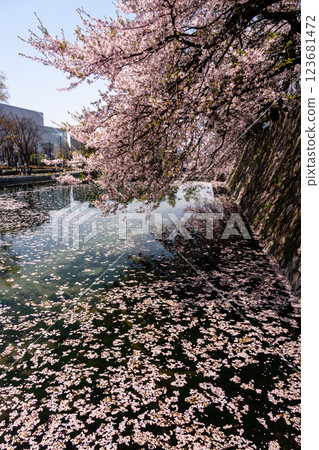 (富山展望台) 富山城 松川 Berri 櫻花四月 123681472