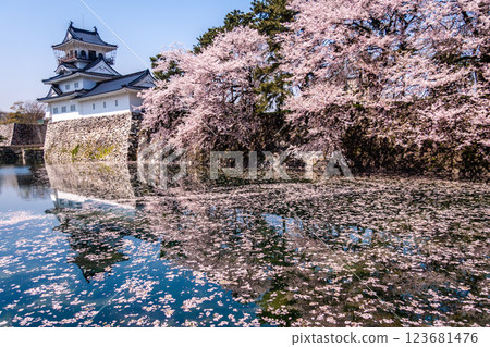 (富山展望台) 富山城 松川 Berri 櫻花四月 (富山展望台) 富山城 松川 Berri 櫻花四月 123681476