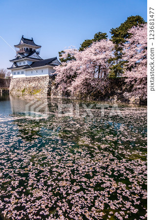 (Toyama Viewpoint) Toyama Castle, Cherry blossoms along the Matsukawa River, April (Toyama Viewpoint) Toyama Castle, Cherry blossoms along the Matsukawa River, April 123681477