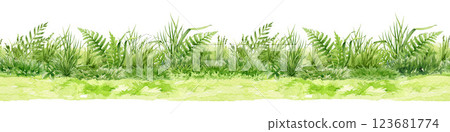 Green grass seamless border element watercolor illustration. Fresh grass, fern leaves in countryside meadow, lawn, field, farm landscape border element isolated on white background 123681774