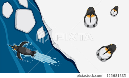 Penguins on Ice: A Top View 123681885