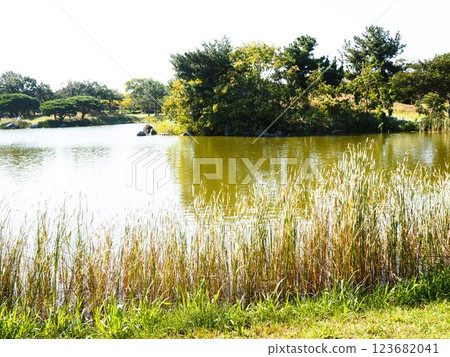 秋季公園風景,有池塘、樹木和草地 秋季公園風景,有池塘、樹木和草地 123682041