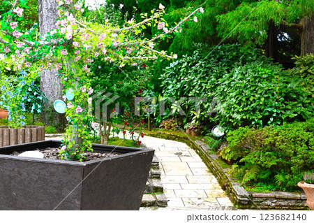 Beautiful garden Beautiful garden 123682140