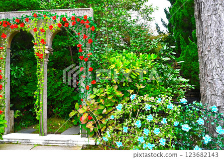 美麗的花園 美麗的花園 123682143