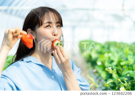 一個女人在摘草莓 一個女人在摘草莓 123682206