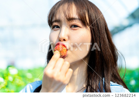 一個女人在摘草莓 一個女人在摘草莓 123682214