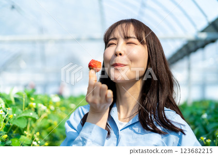 一個女人在摘草莓 一個女人在摘草莓 123682215