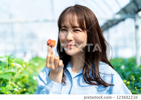 一個女人在摘草莓 一個女人在摘草莓 123682216