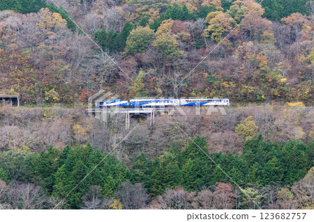A tourist train running through autumn leaves [Kisuki Line Okuizumo Orochi] 123682757