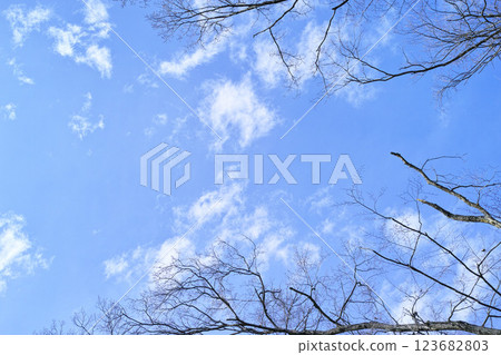 Blue sky and cloud image 123682803