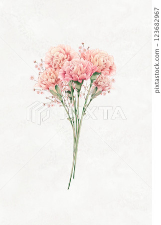 母親節康乃馨花束插圖 123682967