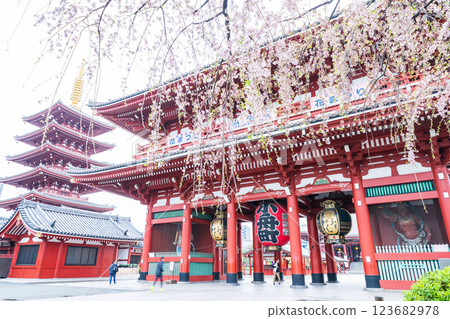 「東京」淺草寺 - 垂枝櫻花 「東京」淺草寺 - 垂枝櫻花 123682978
