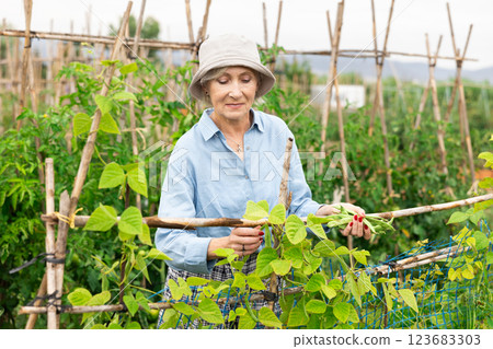 Senior female gardener working in her farm smiling. Senior female gardener working in her farm smiling. 123683303