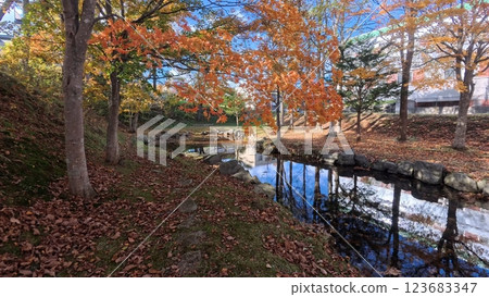 A park with autumn leaves and a pond A park with autumn leaves and a pond 123683347