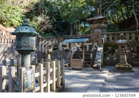 久能山東照宮的金樹 久能山東照宮的金樹 123683504