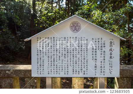 久能山東照宮的金樹 久能山東照宮的金樹 123683505