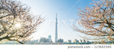 「東京」隅田公園春景 「東京」隅田公園春景 123683560