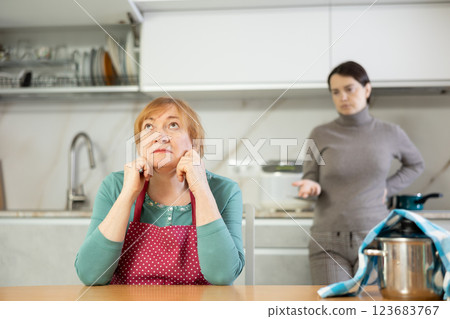 Elderly sad woman stands in kitchen and listens to insults.Concept stream of abuse Elderly sad woman stands in kitchen and listens to insults.Concept stream of abuse 123683767
