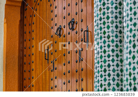 Vintage wooden gates with metal elements made in Arabic oriental style. Design of antique motifs and influences 123683839
